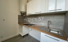 APPARTEMENT 2 PIECES VIDE, ENTIEREMENT RENOVE